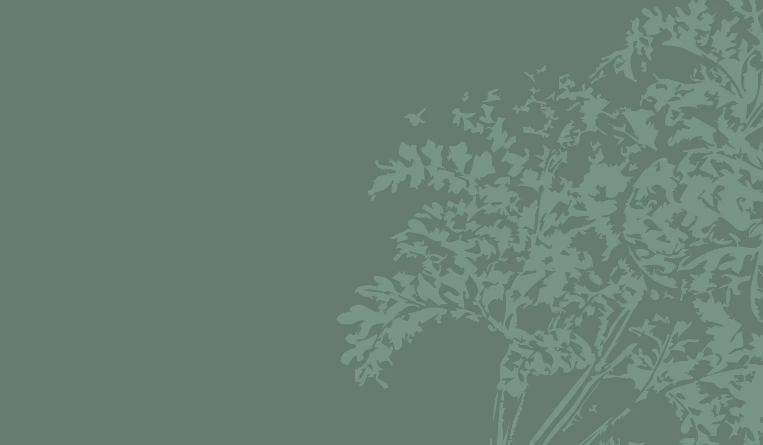 image-biozone-hero-home