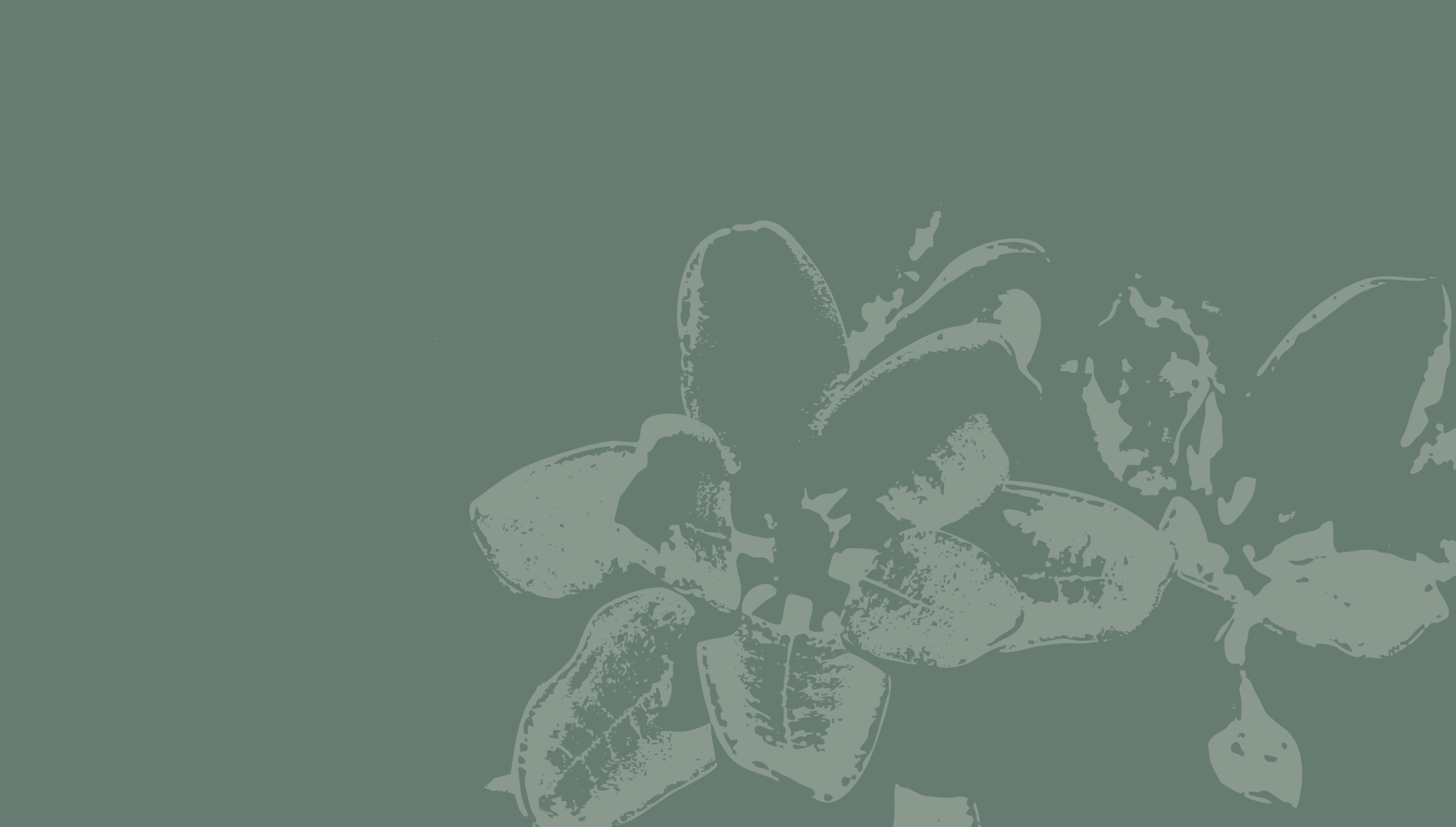 Placeholder Image (1)