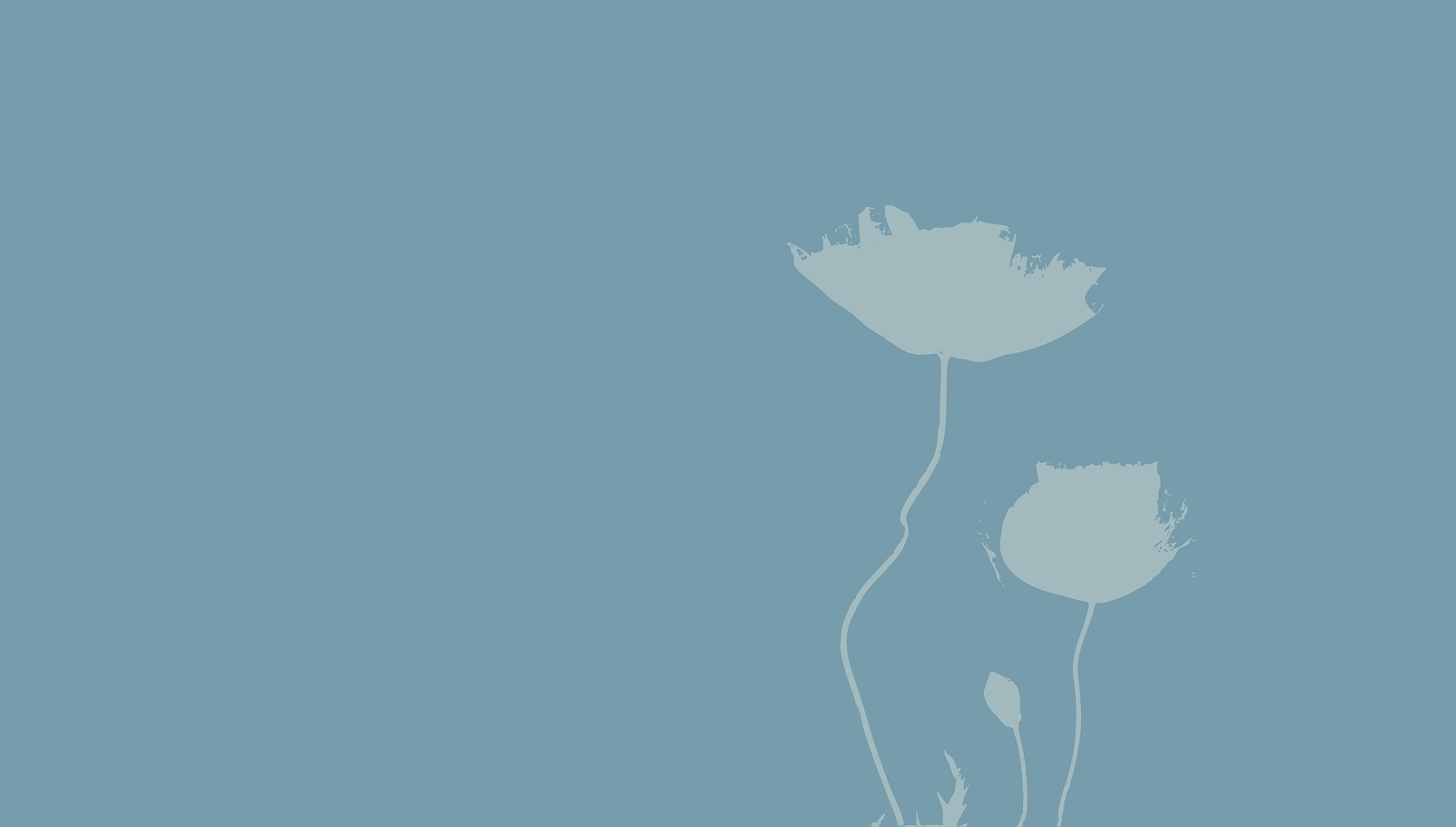 88A8D636-25E5-44ED-B711-0CB058AC57CB