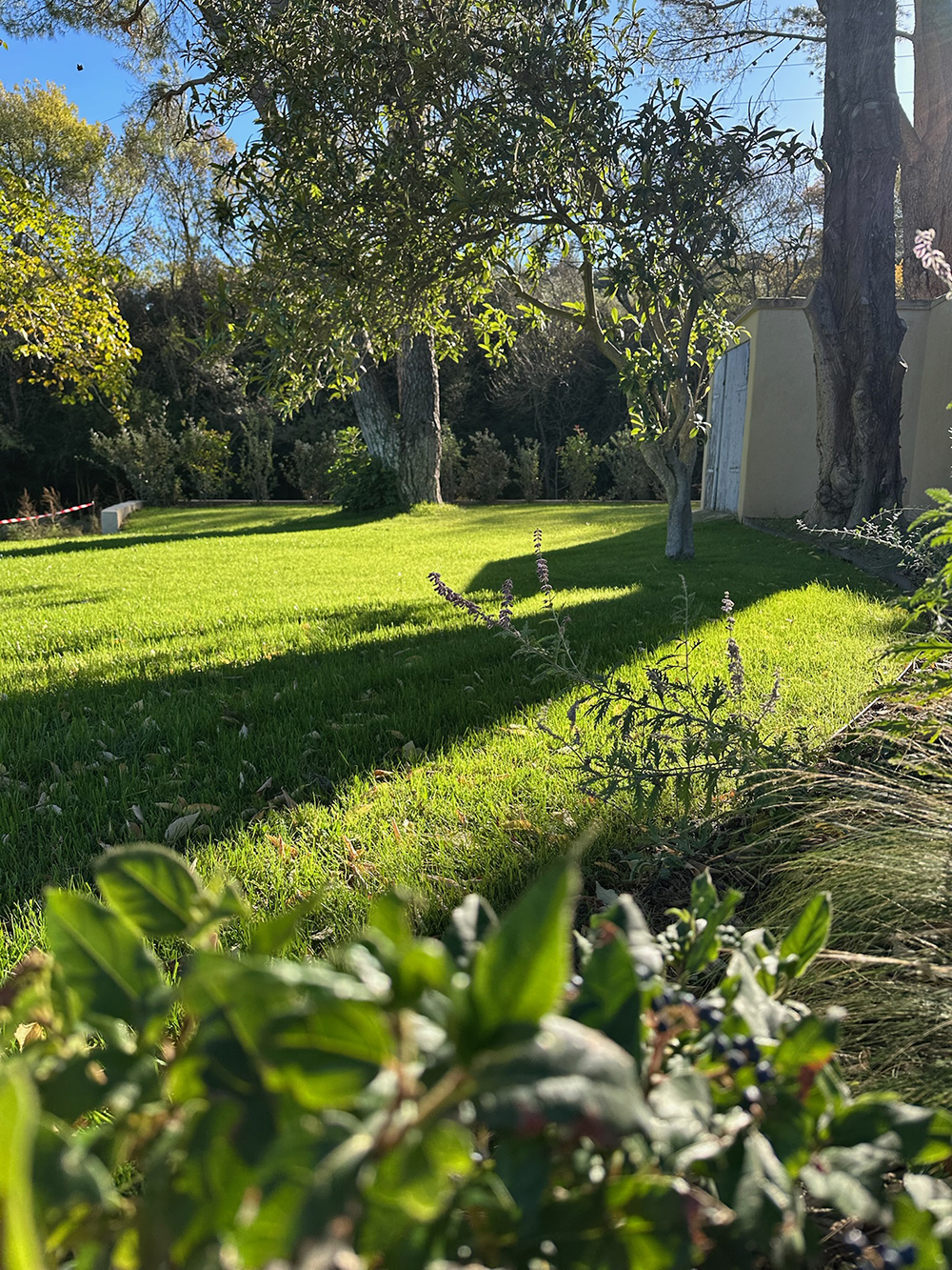 000401B6-C483-4617-96AD-18A375821854