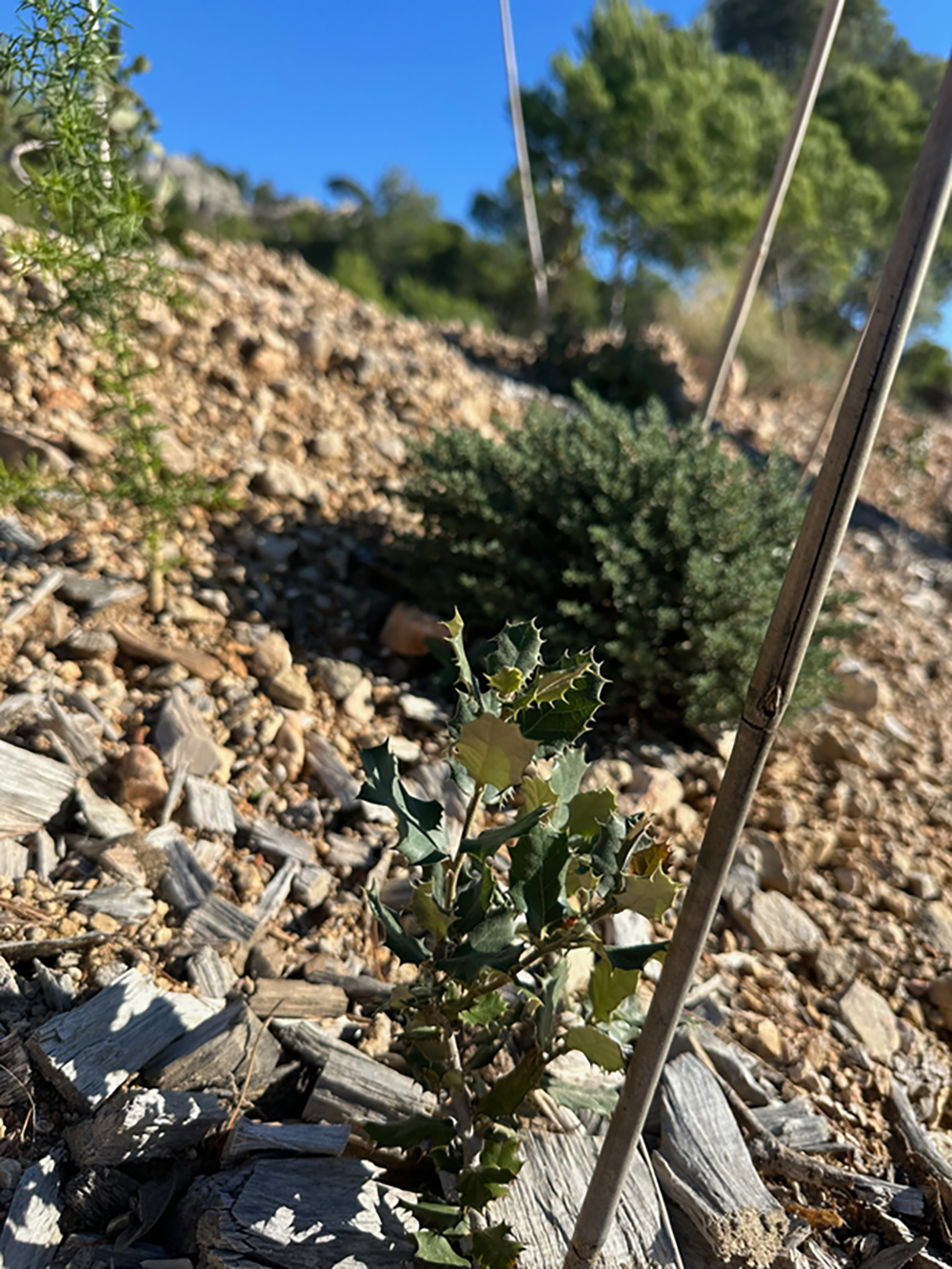 0187E71E-5758-46F9-8993-5B4F79B9C905