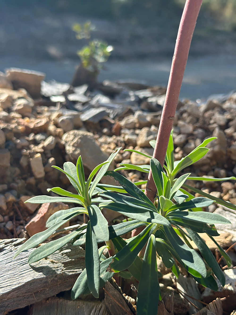 1459A8FB-2004-44D8-B120-572EC63A4894