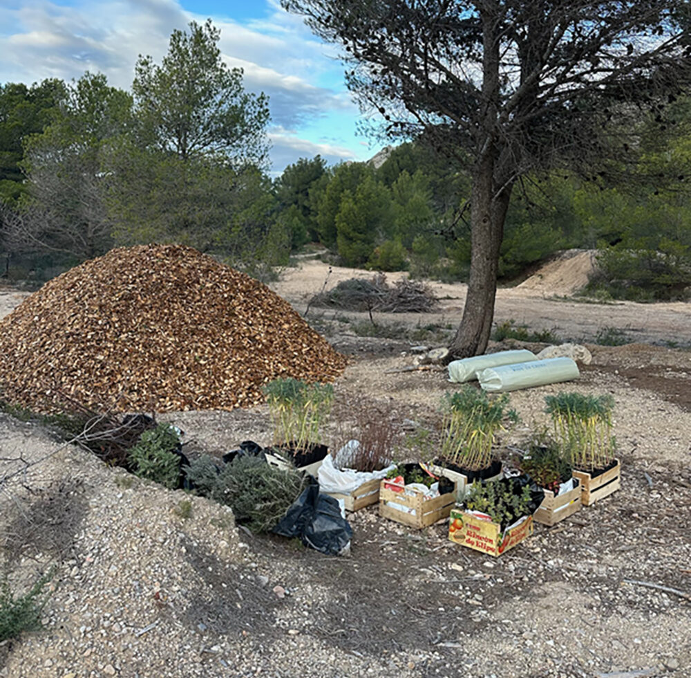 1E98B1C5-5F89-42D0-AF38-DC06EC267A7F