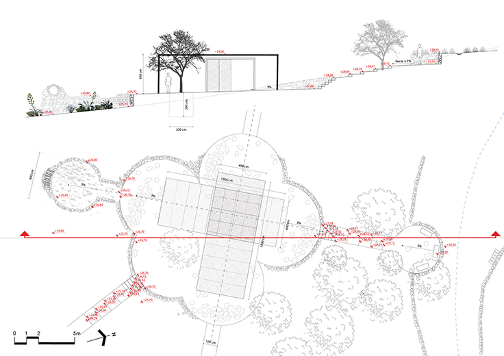 240401_LC_Coupe D_100e