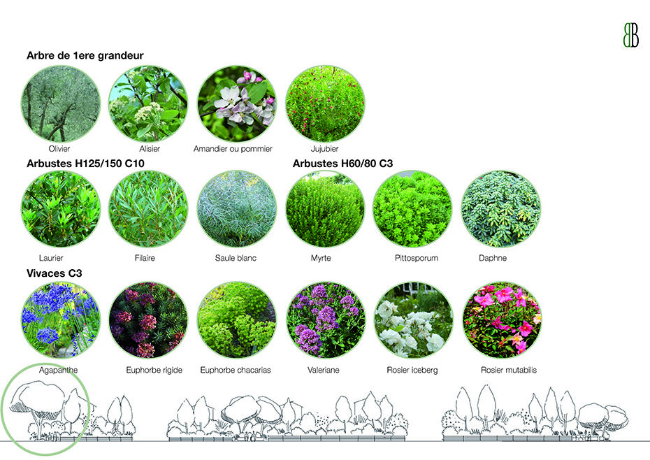 240701_MAUS_EP_Plaquette_Page_15