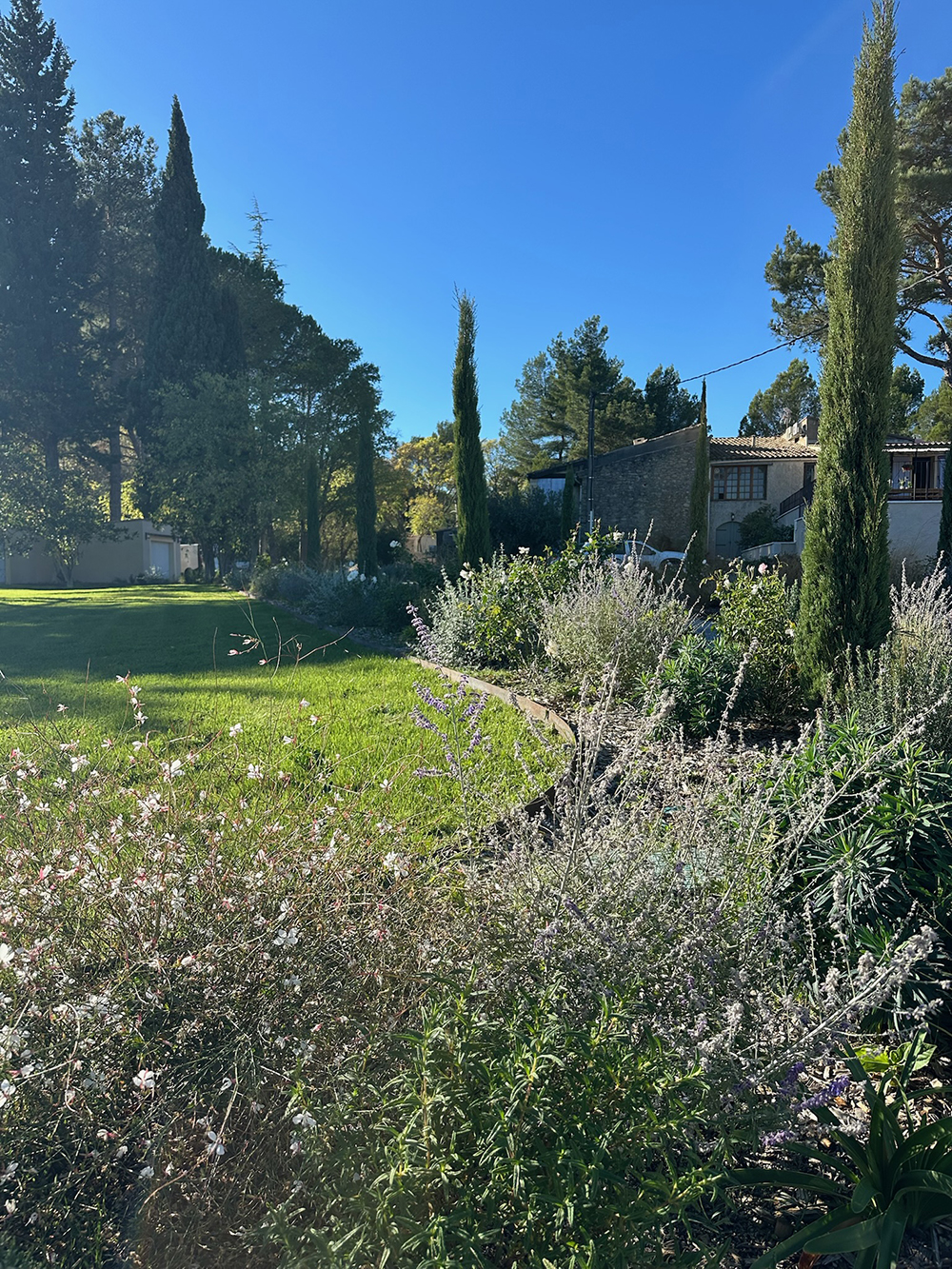 2B83BD60-88DA-4D6A-B672-E6EF93BCBA5F