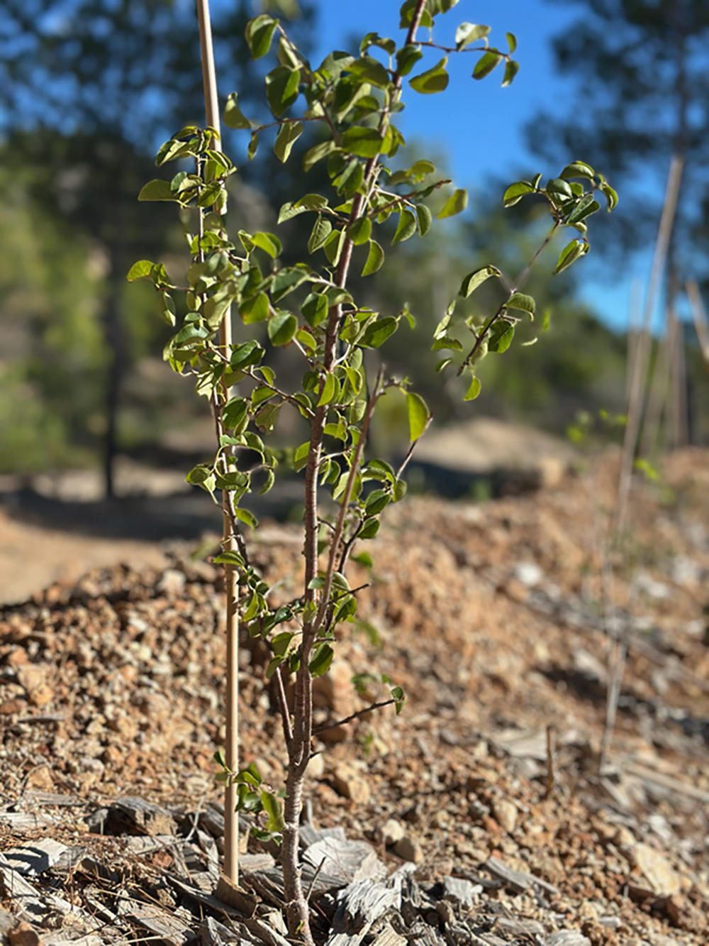 3071592F-E55F-4527-B3FC-13C6B4AACE3B