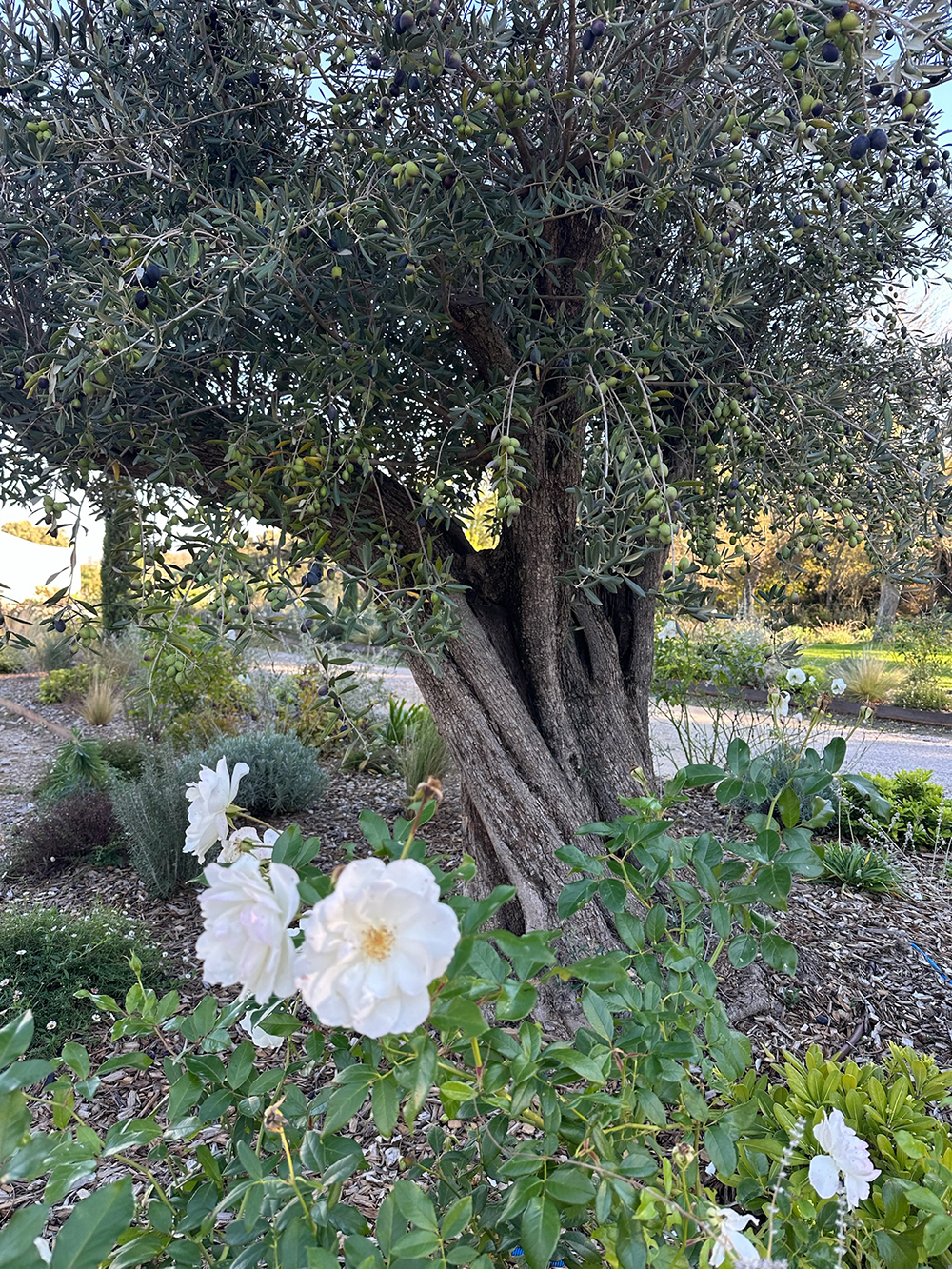 30C8A0BB-47C1-4824-B8EB-705B603AB16E