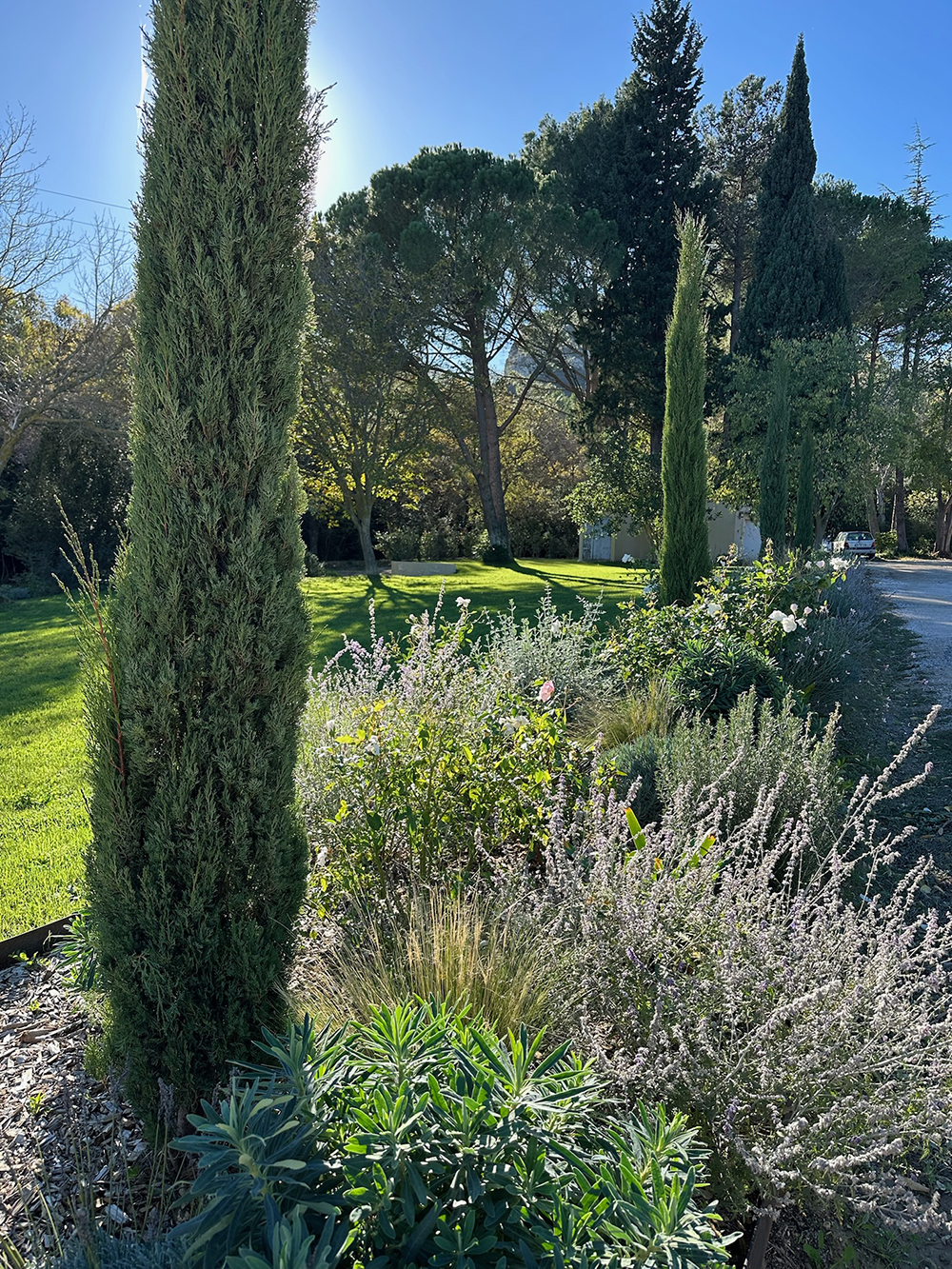 3630A46D-9EDE-40DF-807B-A6D2E7EB84D4