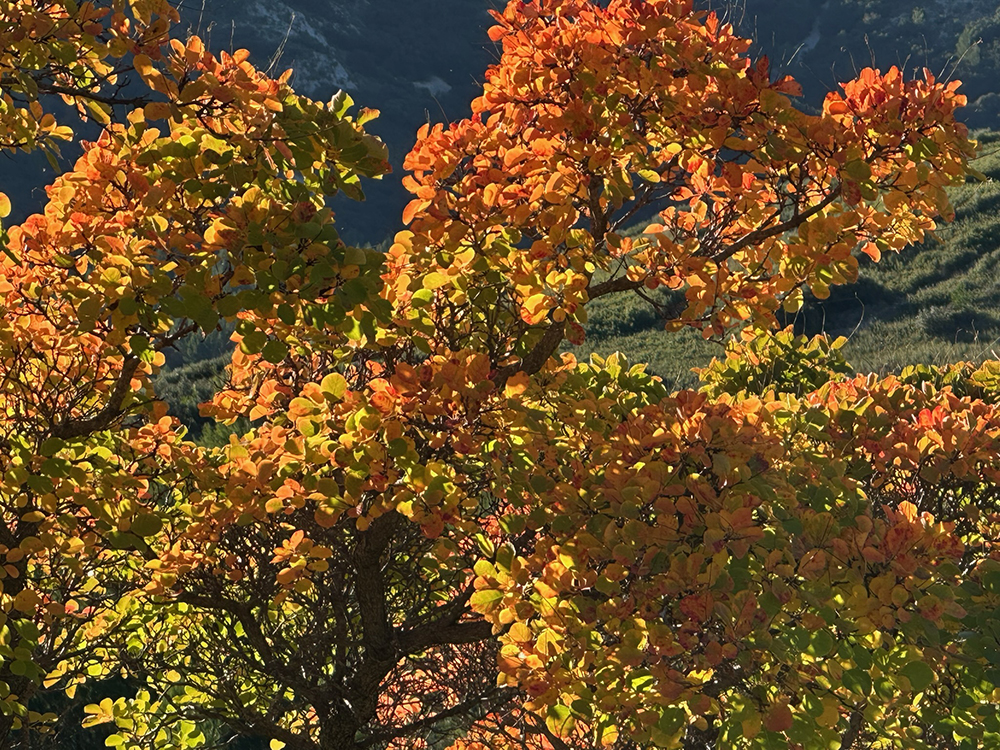 4A5694F2-62CB-49AD-8E6B-1894829810F7