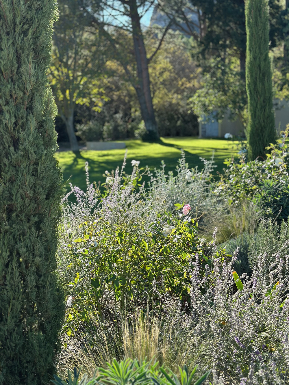 88A8D636-25E5-44ED-B711-0CB058AC57CB