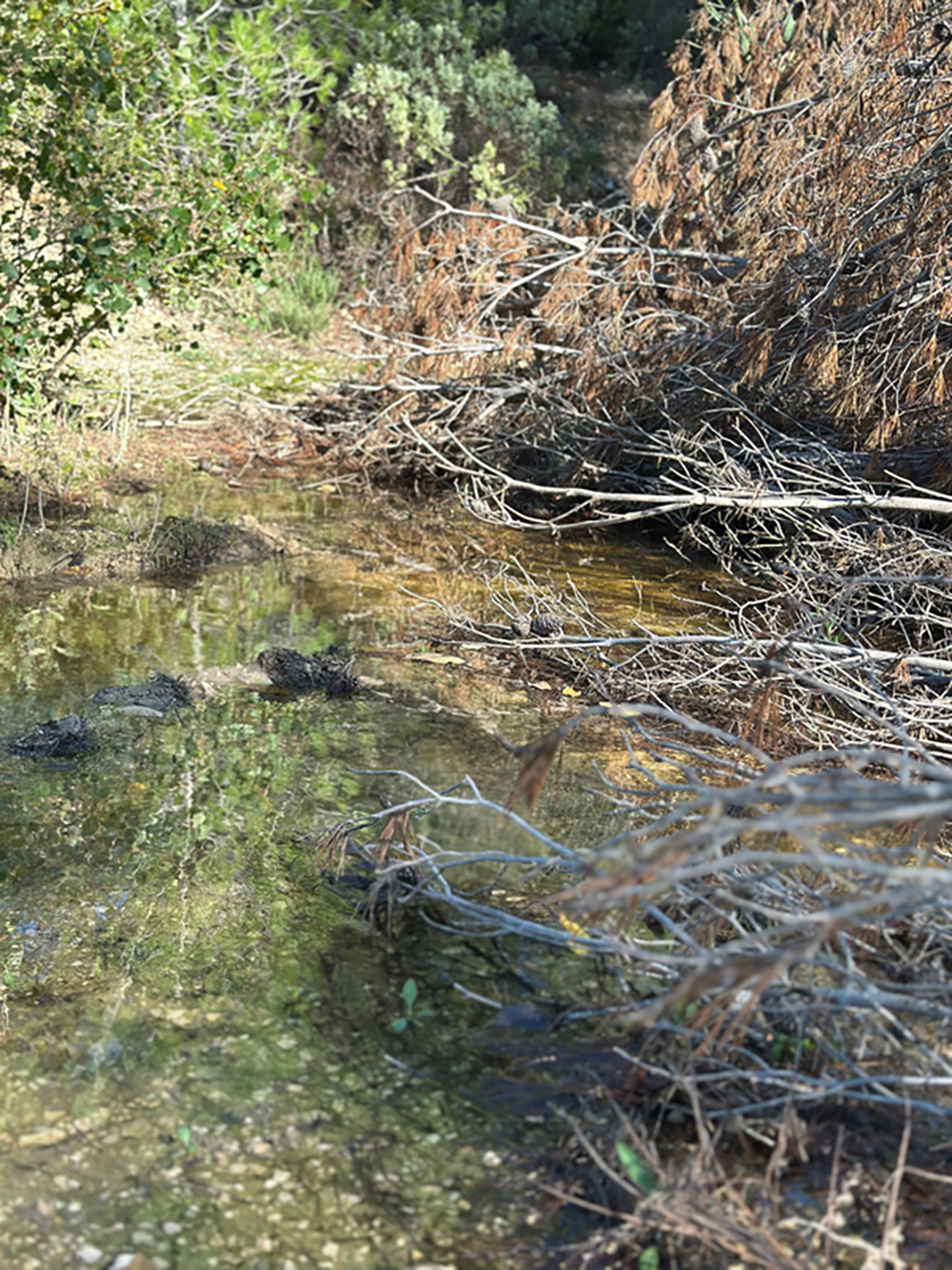 93D3A144-9868-4993-A910-B4714874E1EF