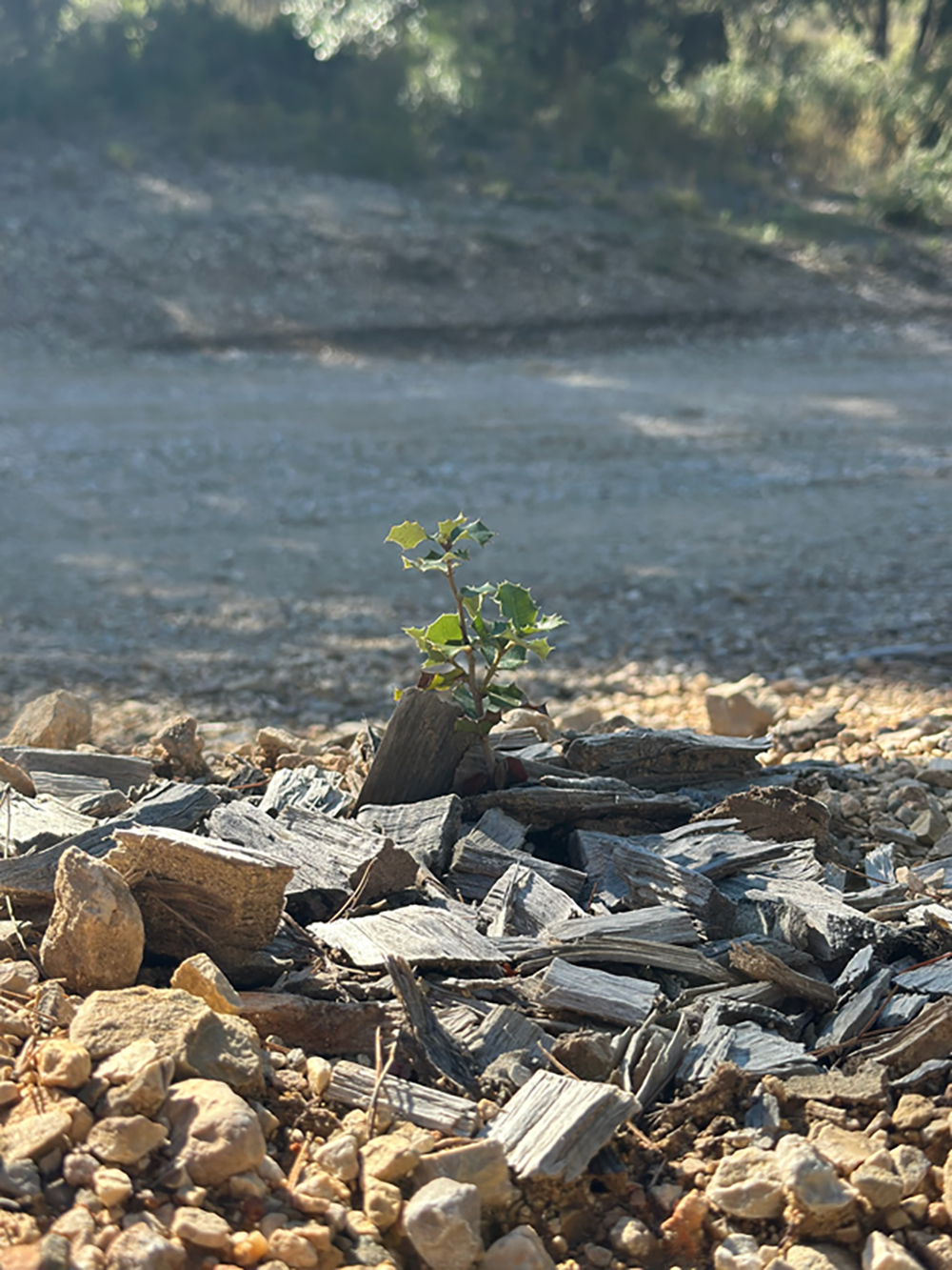 97745D24-9B2E-42B5-A2AE-A630D69C444B