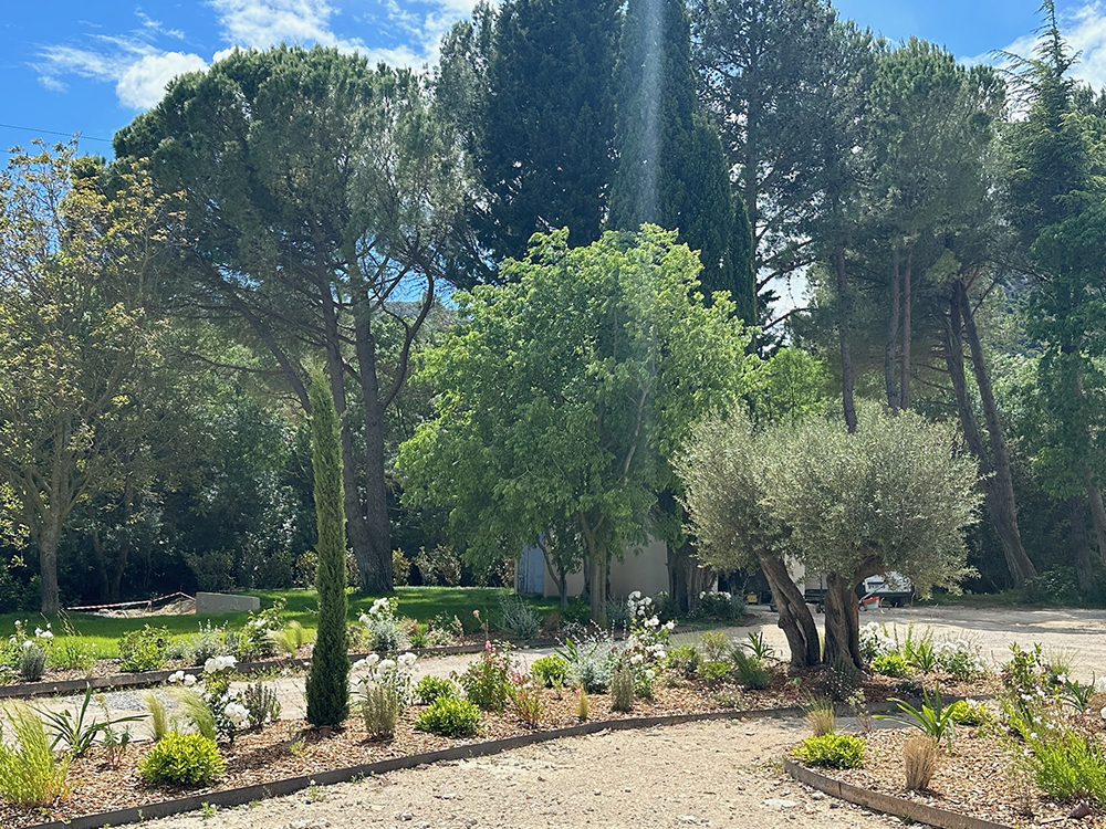 A4DCB4B8-3B47-494C-BA14-8BDD04872892