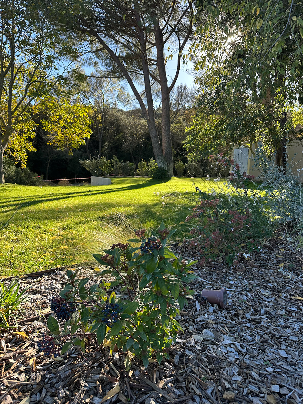 C02D9F57-7EF4-4A56-87DA-0798187040B6