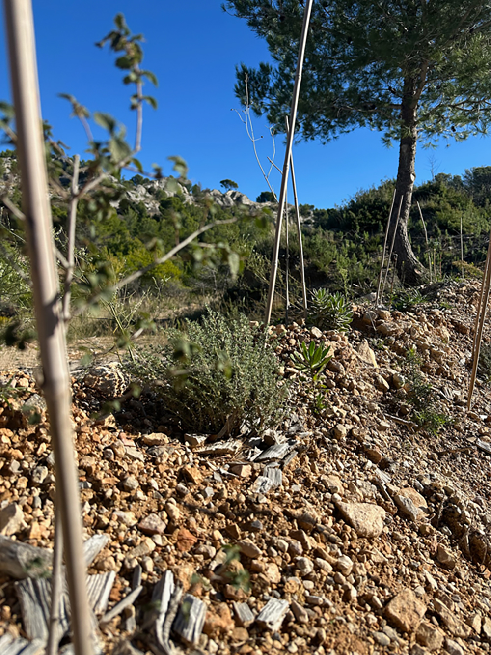 CBB358D5-D3EC-4D7D-BAE2-317E25533EF6