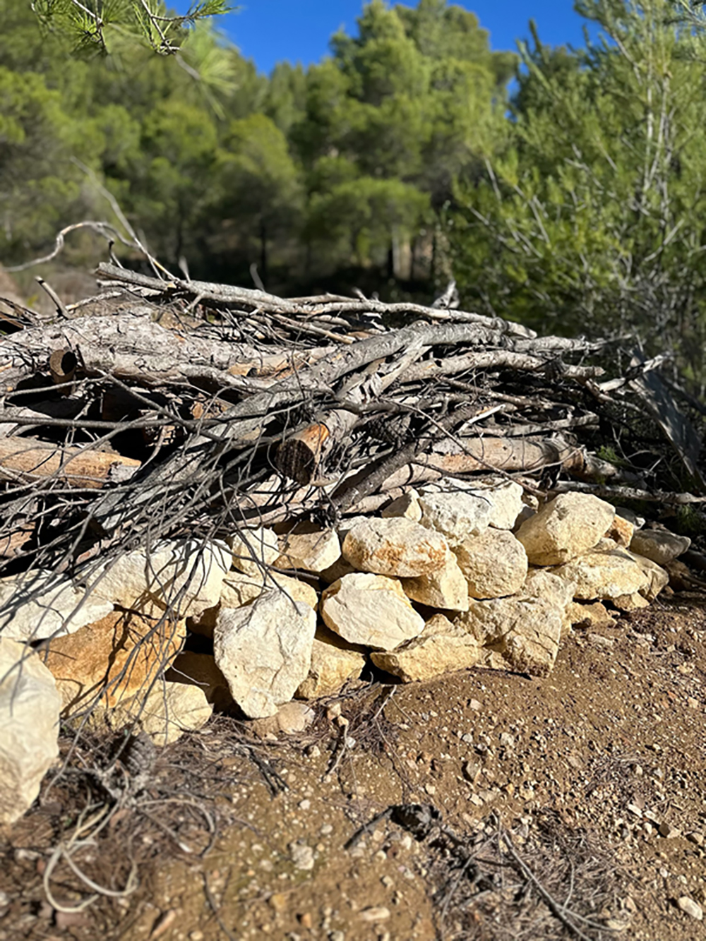 CF5E4B18-C50C-4D95-9E23-527ACA74EC8B