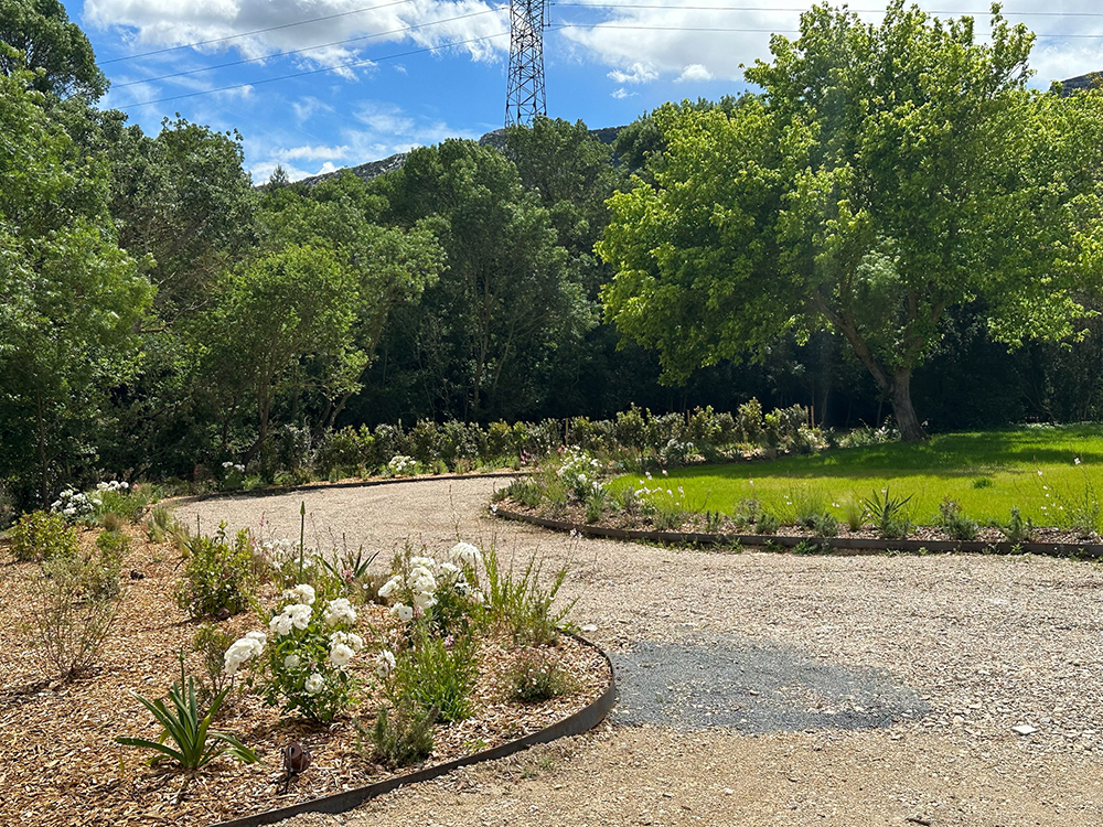 D6C2C93C-FB45-42B5-8331-1663FE579C52