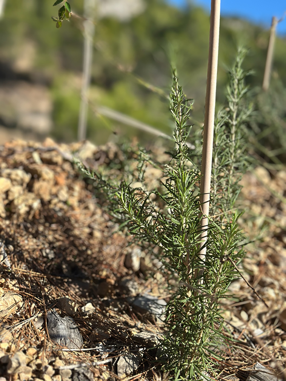 EEFB8A05-AF1C-4FC0-BA6A-5513DB4DD009