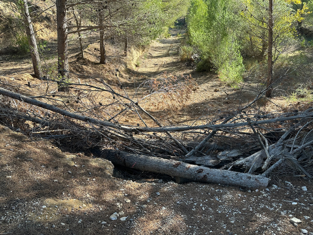 F73C08A0-2E0E-4BE1-9E44-07601893211C