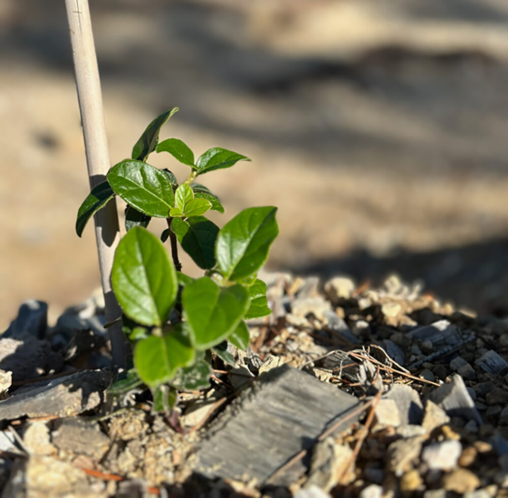 FBEFF7F8-5FB6-427F-8C4A-8831A1A217C7