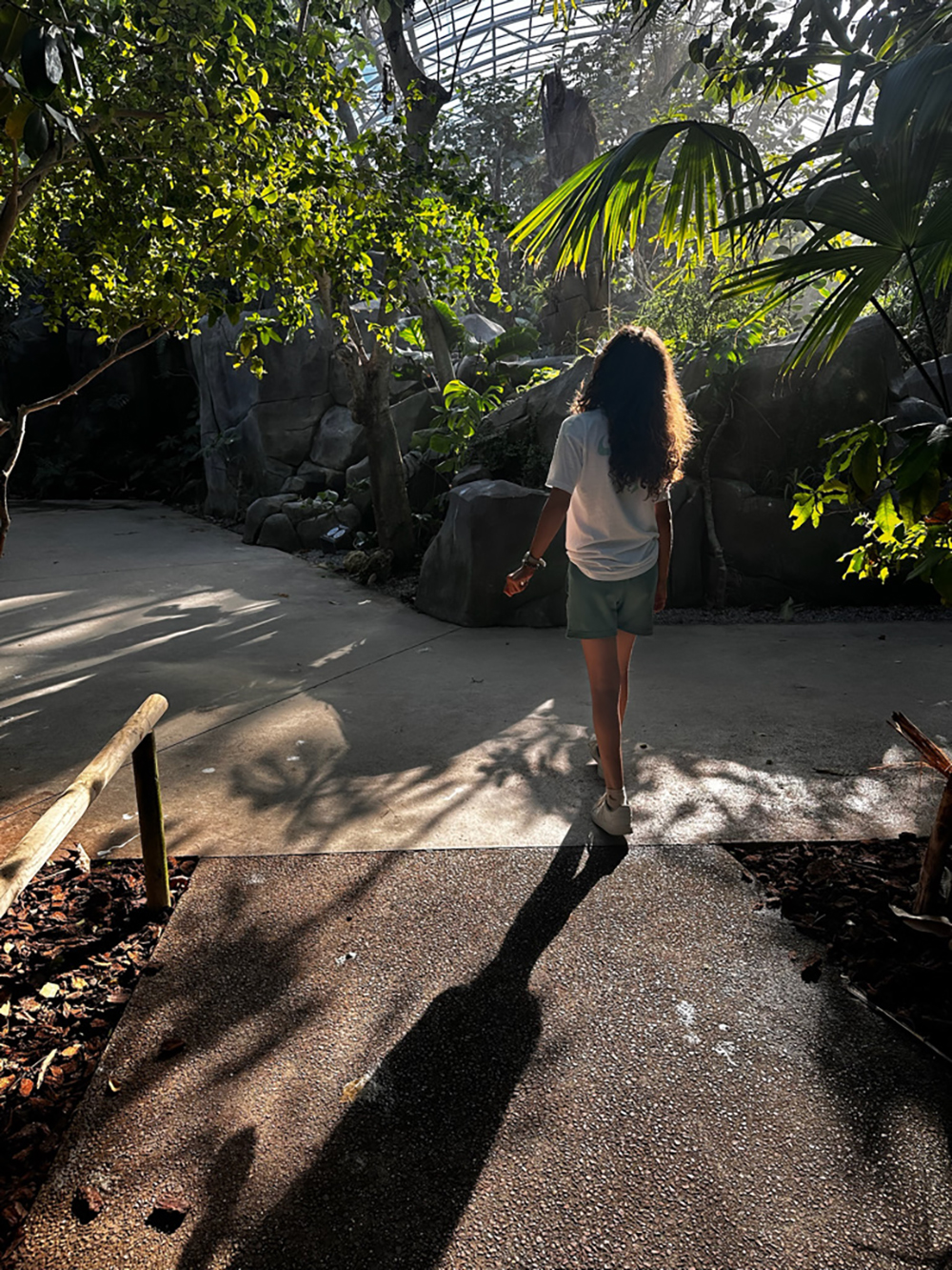 serre tropicale parc zoologique de paris