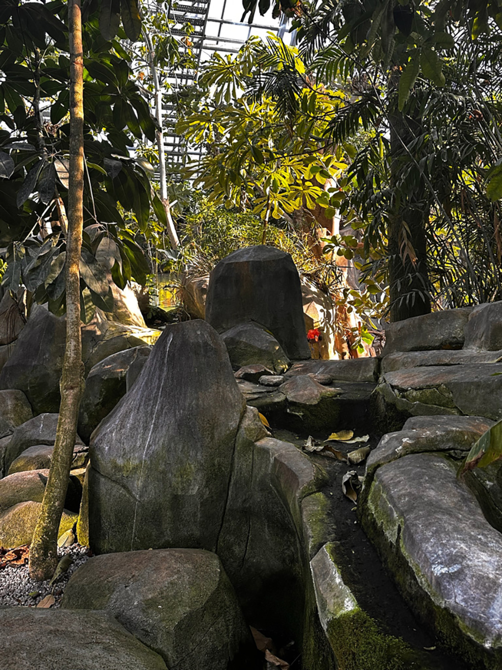 serre tropicale parc zoologique de paris