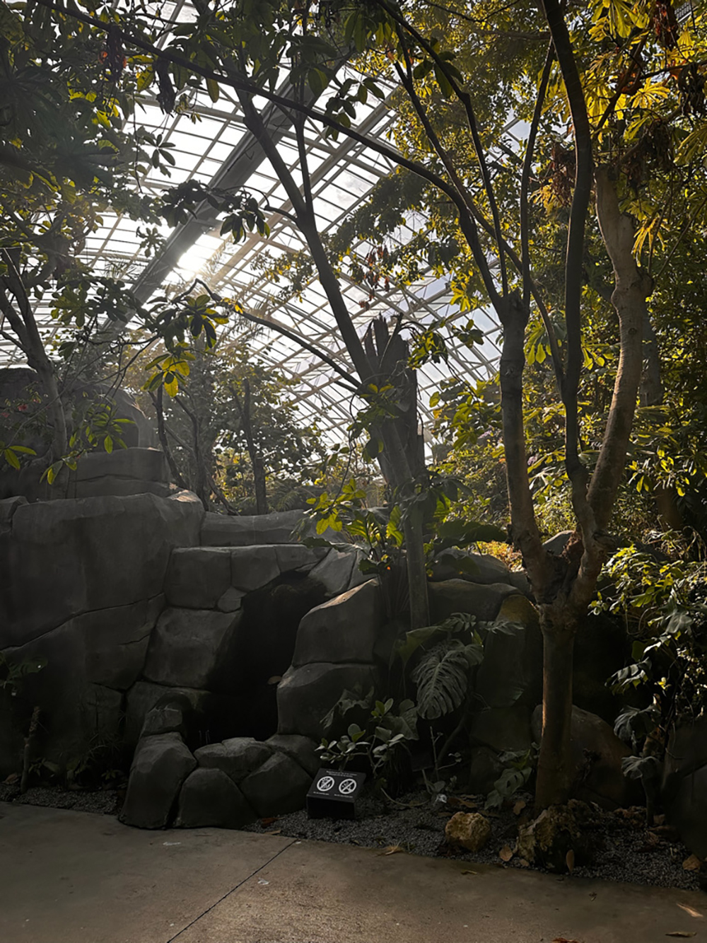 serre tropicale parc zoologique de paris