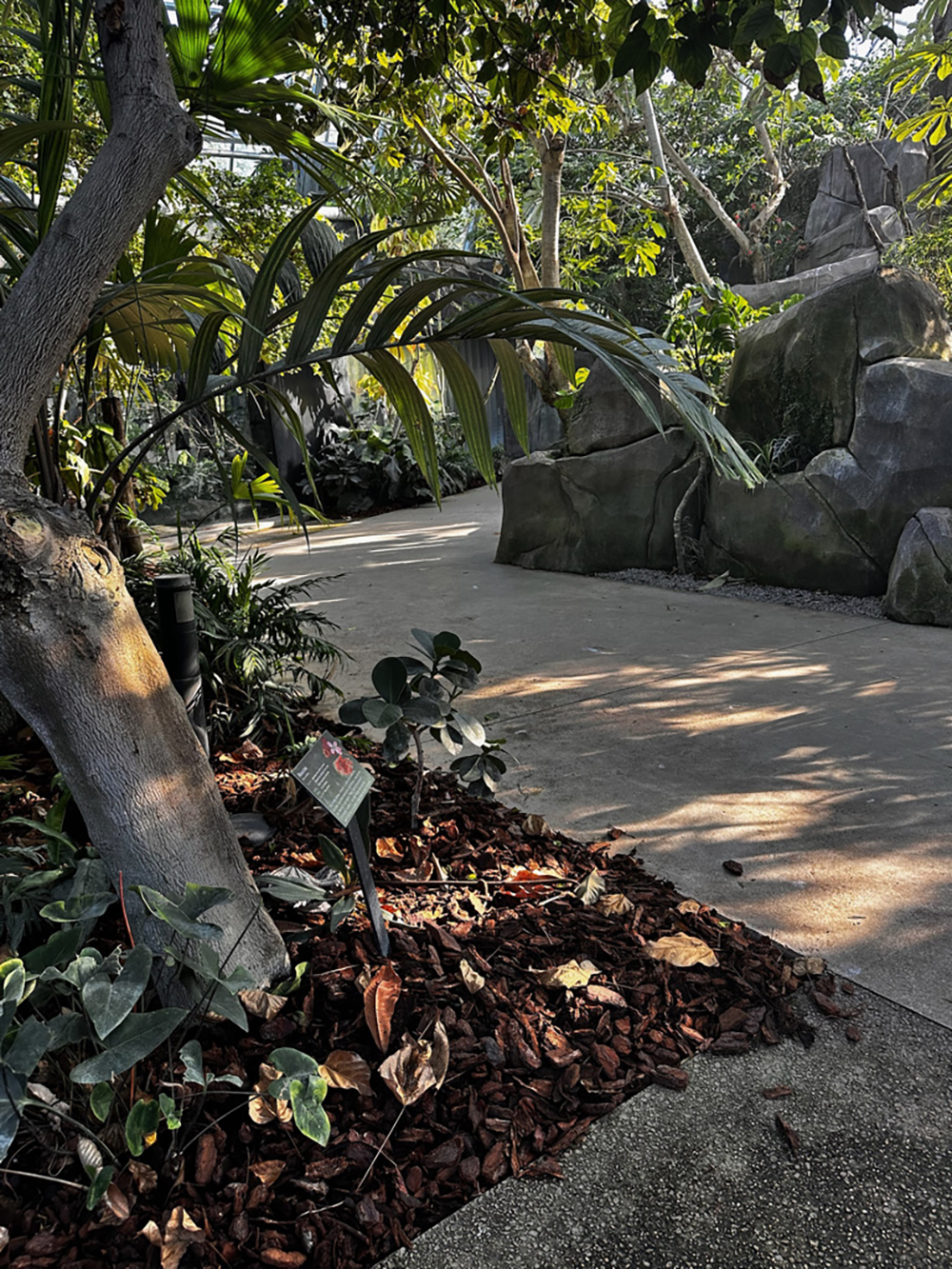 serre tropicale parc zoologique de paris